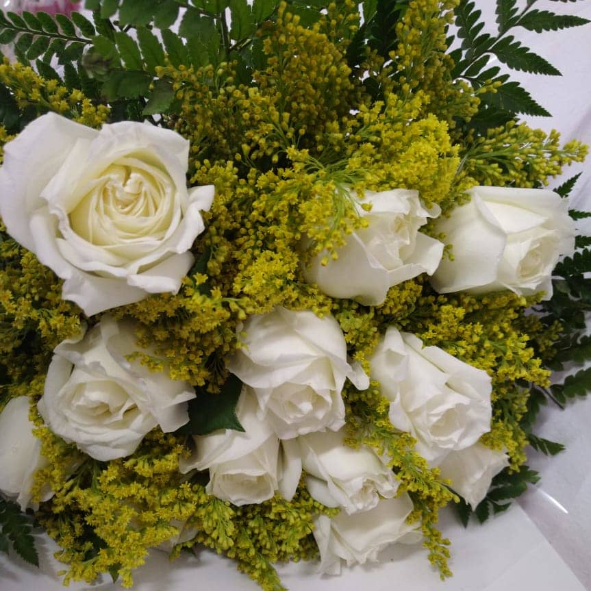 Floricultura Piracicaba Isabela Flores