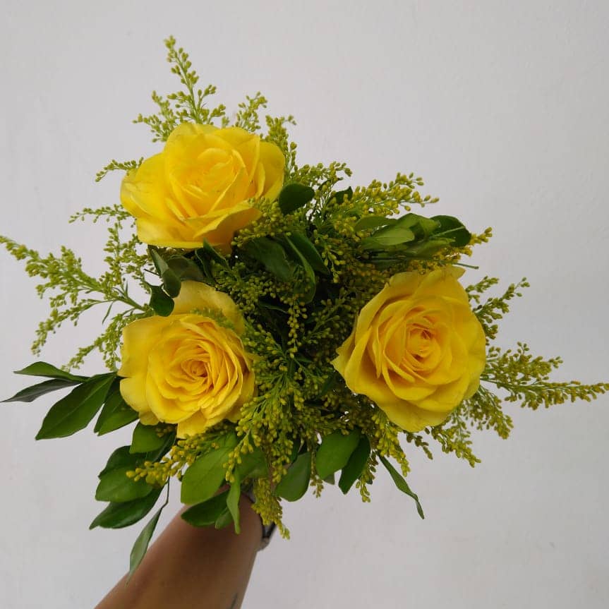 Floricultura Piracicaba Isabela Flores